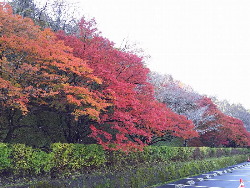 小原ふれあい公園