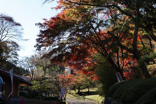 和紙のふるさと