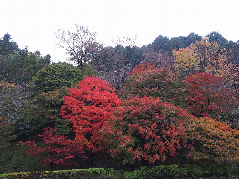 小原ふれあい公園