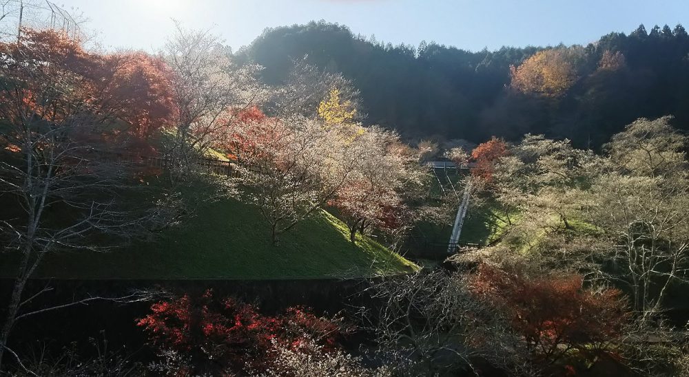 小原ふれあい公園