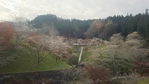 小原ふれあい公園