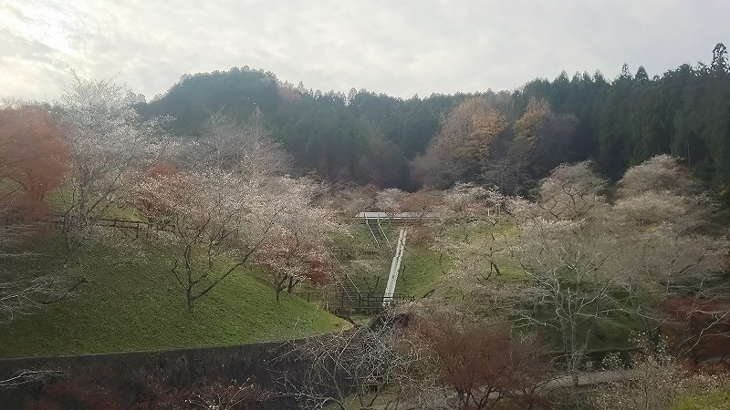 小原ふれあい公園