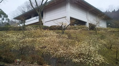 和紙のふるさと工芸館・展示館　休館のお知らせ