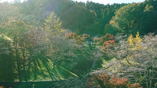 小原ふれあい公園