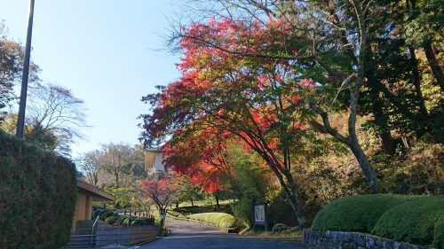 和紙のふるさと