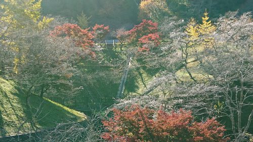 小原ふれあい公園