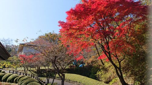 和紙のふるさと