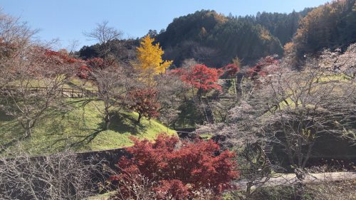 小原ふれあい公園