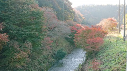 柿ヶ入り遊歩道