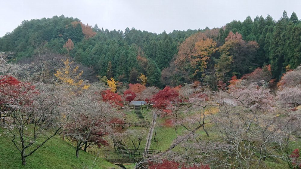 小原ふれあい公園