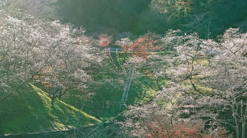 小原ふれあい公園