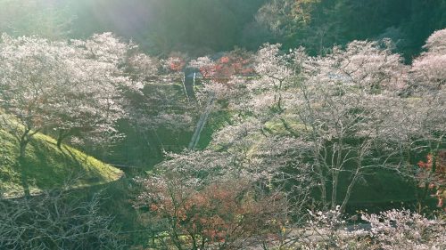 小原ふれあい公園