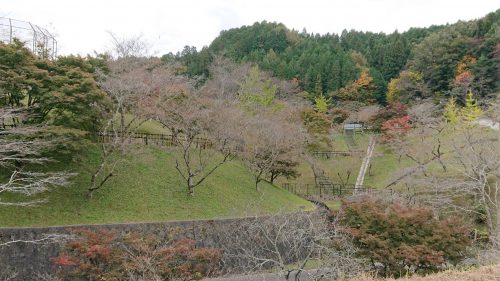 小原ふれあい公園