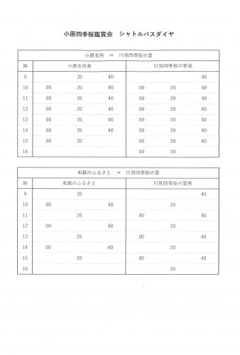 小原四季桜を鑑賞される皆様へ