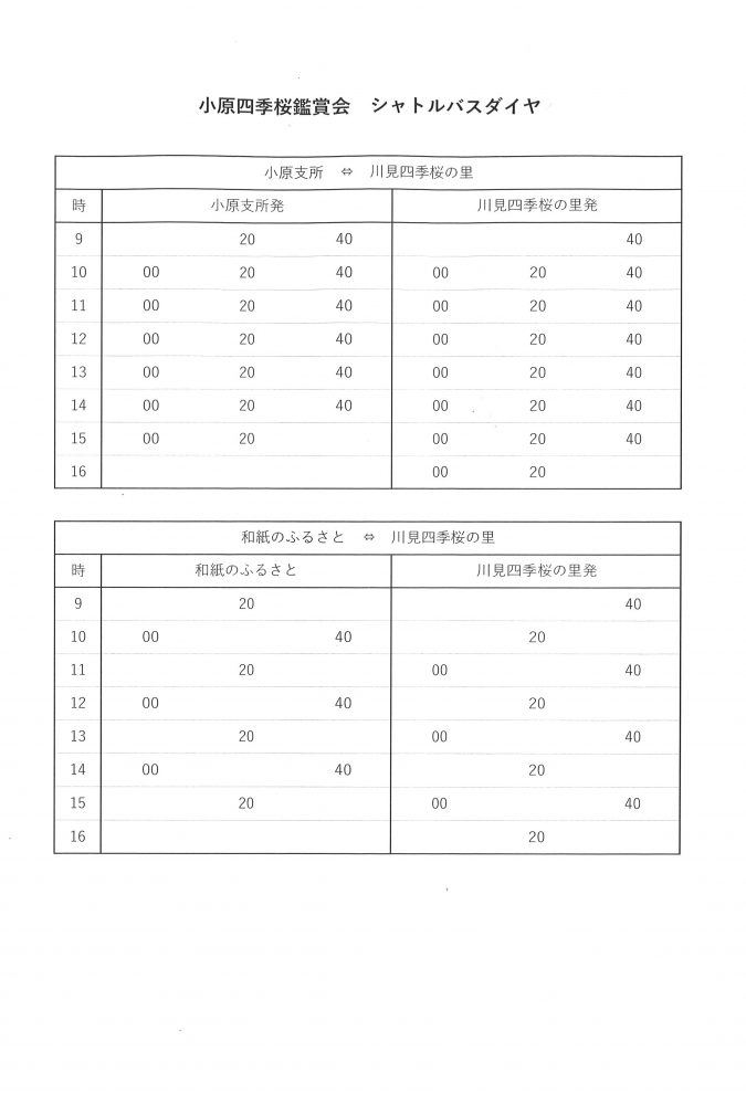 小原四季桜を鑑賞される皆様へ