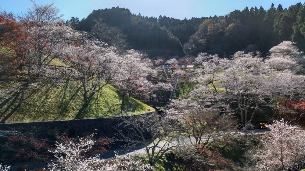 小原ふれあい公園