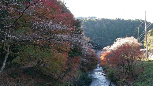 柿ヶ入り遊歩道