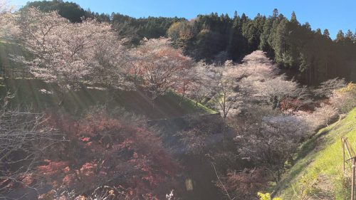 小原ふれあい公園