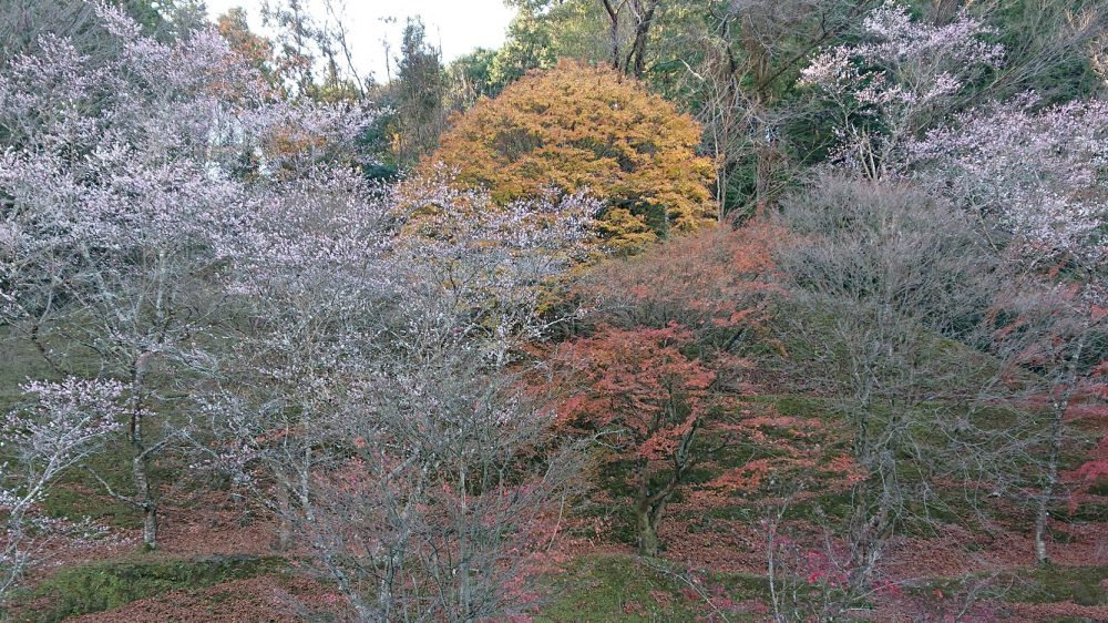 小原ふれあい公園