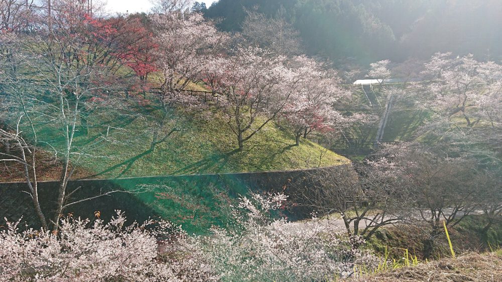 小原ふれあい公園