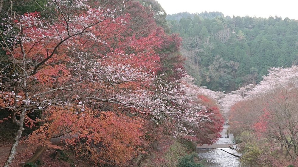 柿ヶ入り遊歩道