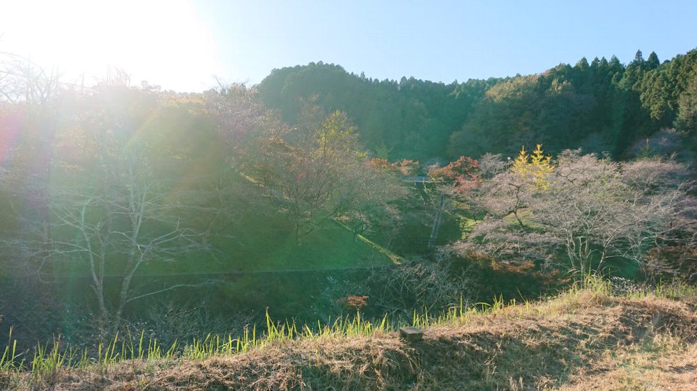 小原ふれあい公園