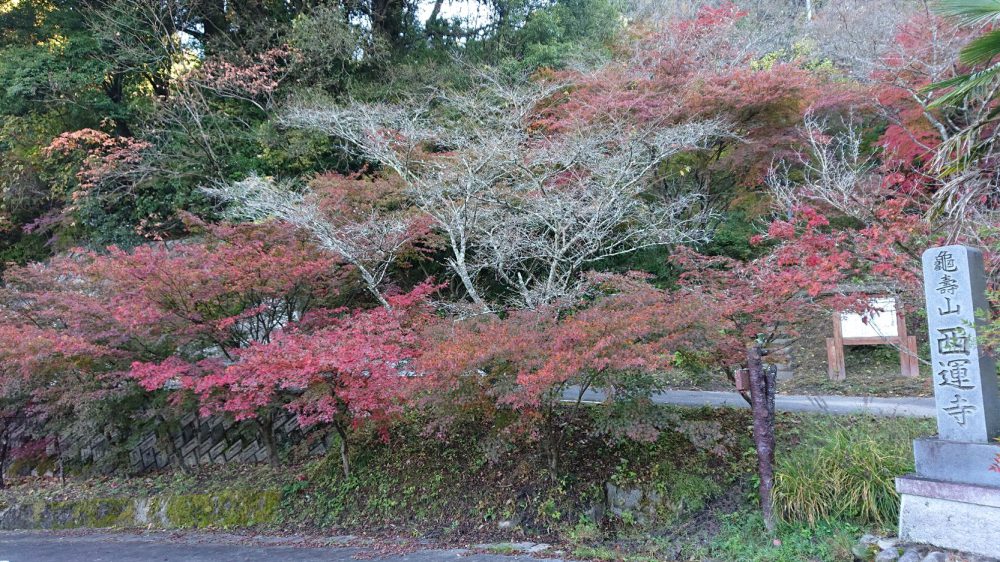 西運寺