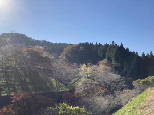 小原ふれあい公園