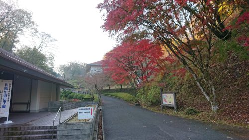 和紙のふるさと