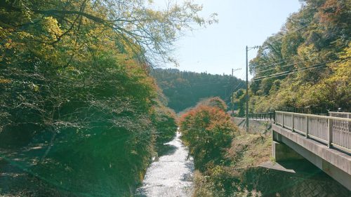 柿ヶ入り遊歩道