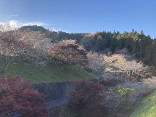 小原ふれあい公園