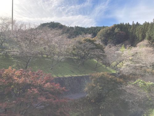 小原ふれあい公園