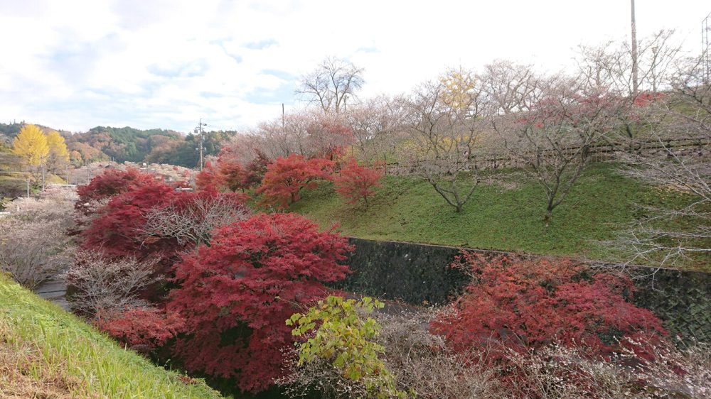 小原ふれあい公園