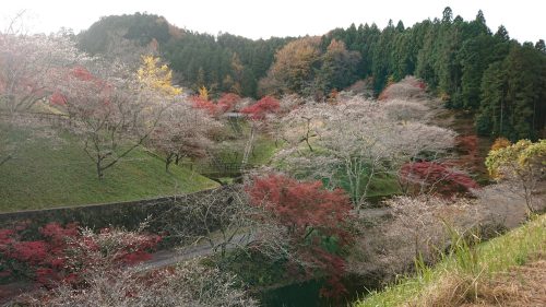 小原ふれあい公園