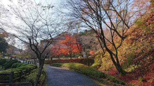 和紙のふるさと