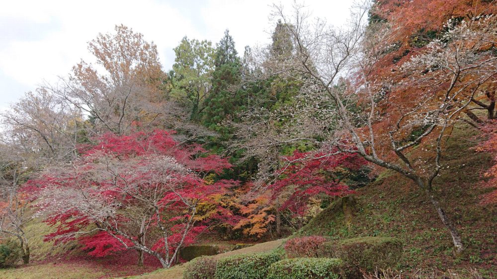 小原ふれあい公園