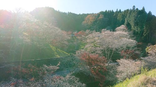 小原ふれあい公園