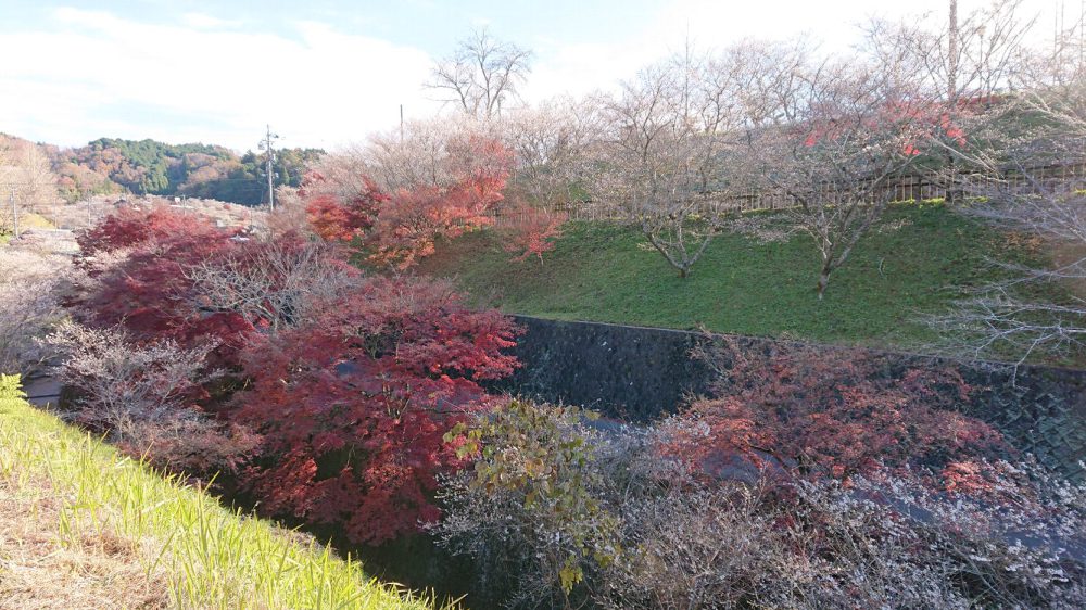 小原ふれあい公園