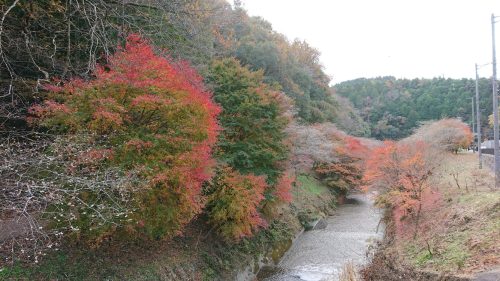 柿ヶ入り遊歩道