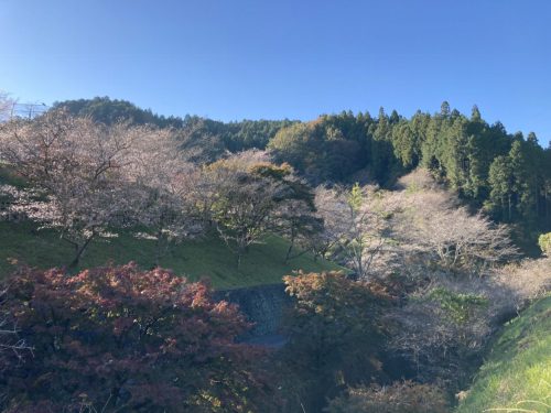 小原ふれあい公園