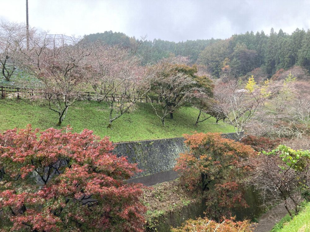 小原ふれあい公園