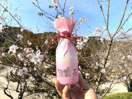 おばら四季桜の酒「逢花」を販売します！