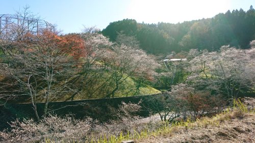 小原ふれあい公園