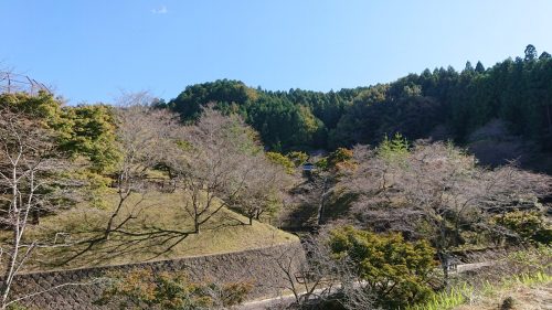 小原ふれあい公園