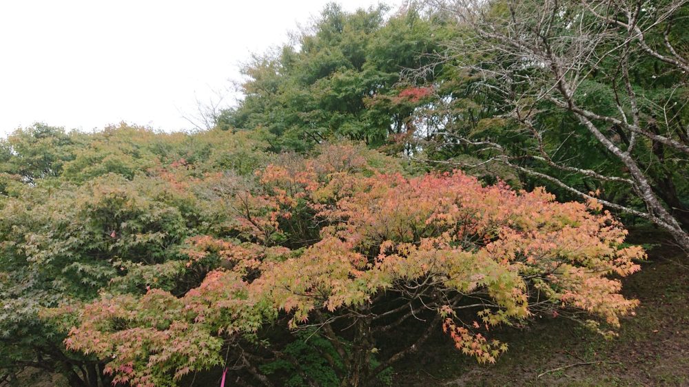 小原ふれあい公園