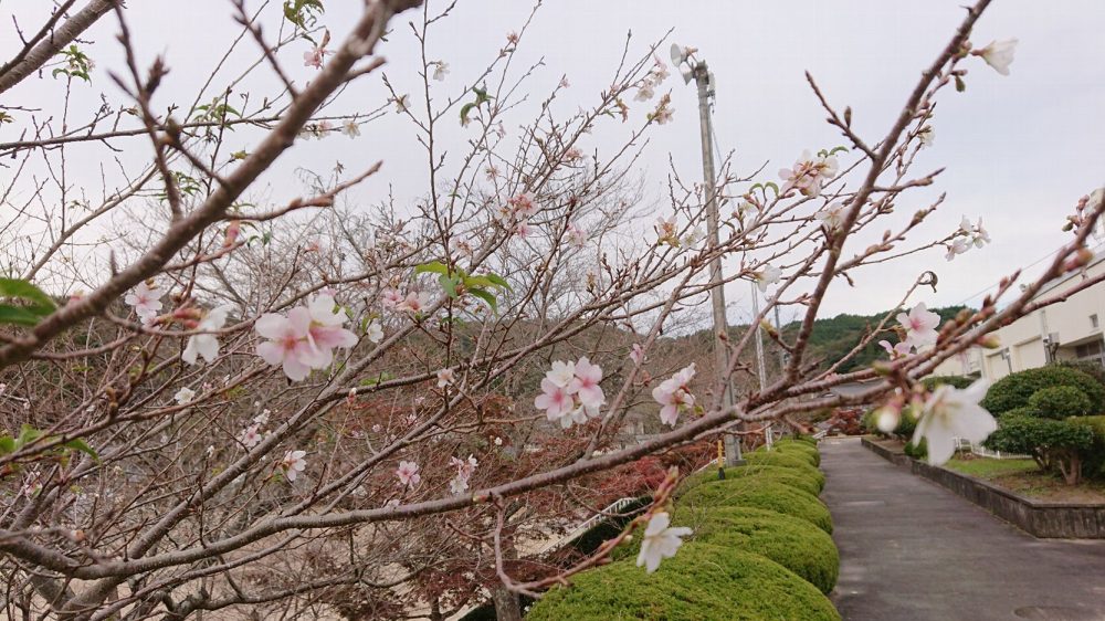 小原ふれあい公園