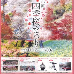 四季桜まつりイベント