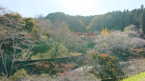 小原ふれあい公園