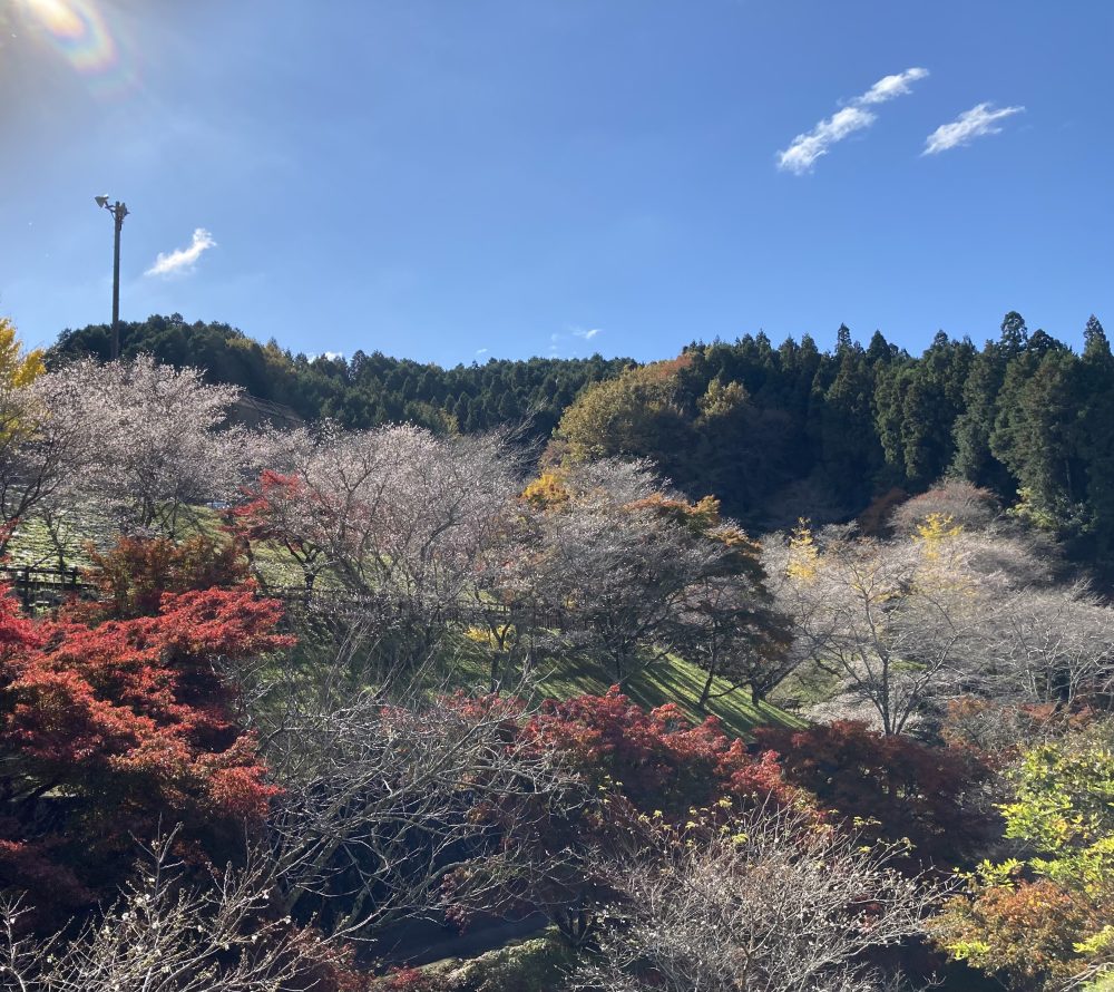 小原ふれあい公園