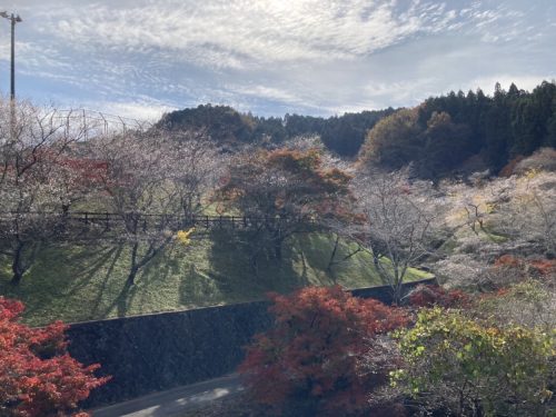 小原ふれあい公園